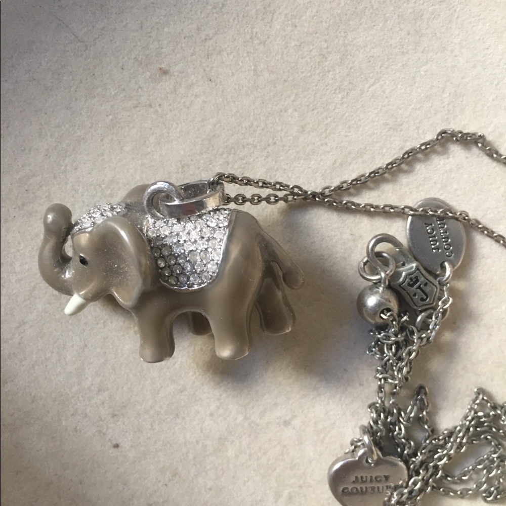 Juicy Couture WWF necklace - like new 💕